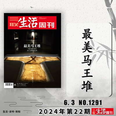 三联生活周刊2024年第22期