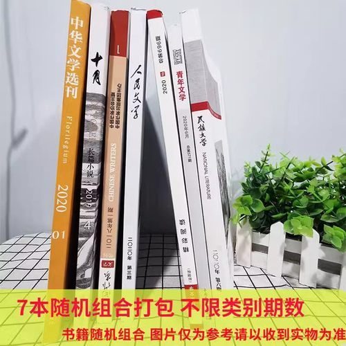 【1.98元/本】文学类杂志随机7本