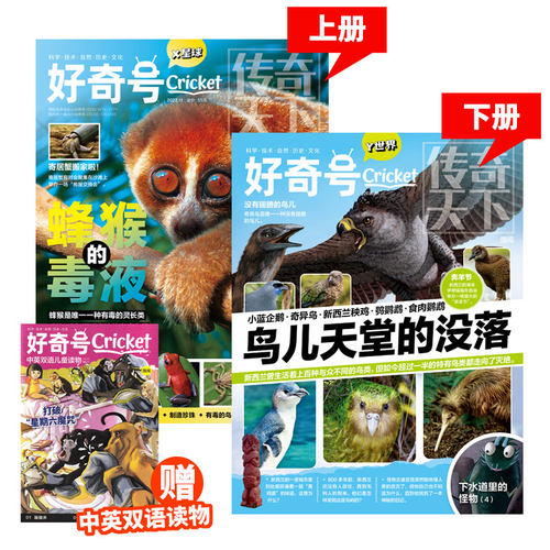好奇号Cricket2022年11月