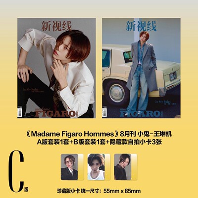 madame FIGARO费加罗世界杂志2025年8月下封面小鬼-王琳凯 内文 ：侯明昊 刘宇 胡连馨 明星时尚潮流期刊杂志