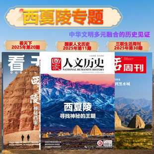 【西夏陵专题】国家人文历史/看天下/三联生活周刊杂志2025年 领略西夏陵背后中华文明多元融合的民族风采人文历史书刊