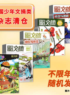 中国少年文摘年份不限