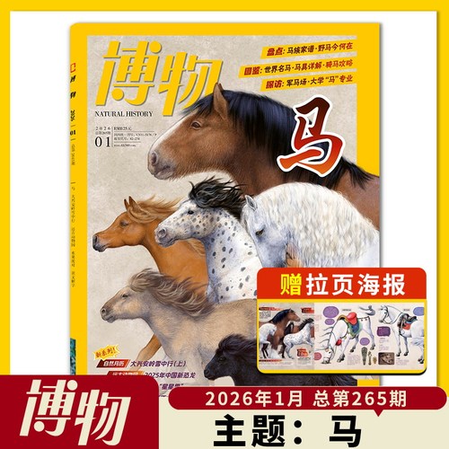 博物杂志2026年1月主题：马  盘点：马族家谱   图鉴：世界名马 探访：军马场 中国国家地理青少年版自然科学探索动植物科普百科