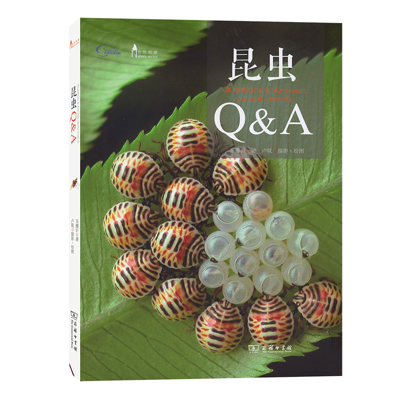 昆虫Q&A(自然观察)  朱耀沂 著,卢耽 摄影·绘图    商务印书馆怎么样,好用不?
