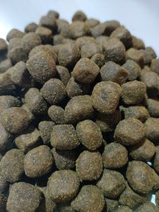 大颗粒成犬狗粮通用型