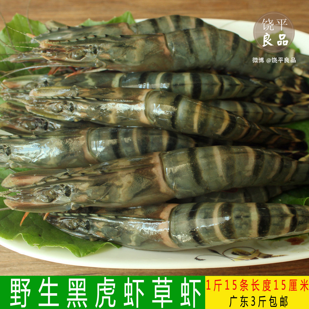 新鲜草虾黑虎虾每份25只左右500g 鲜活老虎虾 青明虾 大对虾冷冻