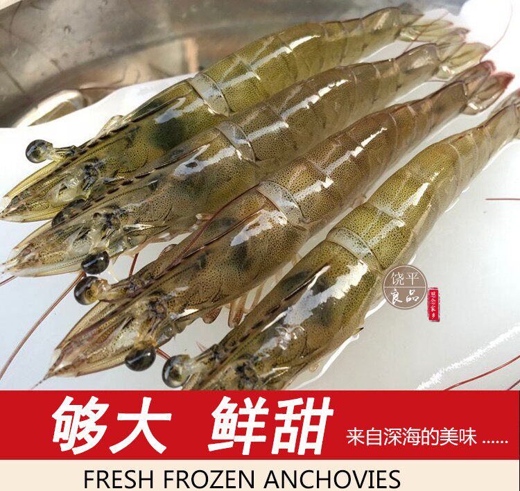 海捕野生大虾新鲜海虾水产青虾新马鲛鱼