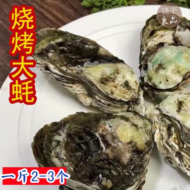 野生鲜活牡蛎 带壳生蚝潮汕酥蚝生蚝