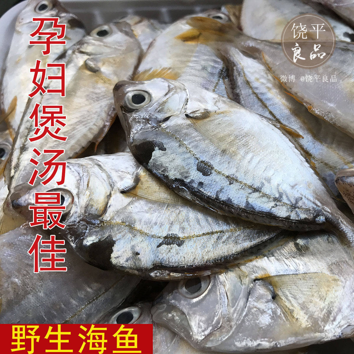 潮汕长城网 当天渔民海捕金钱花 油叶海鱼 叶仔金钱仔 花令仔500g