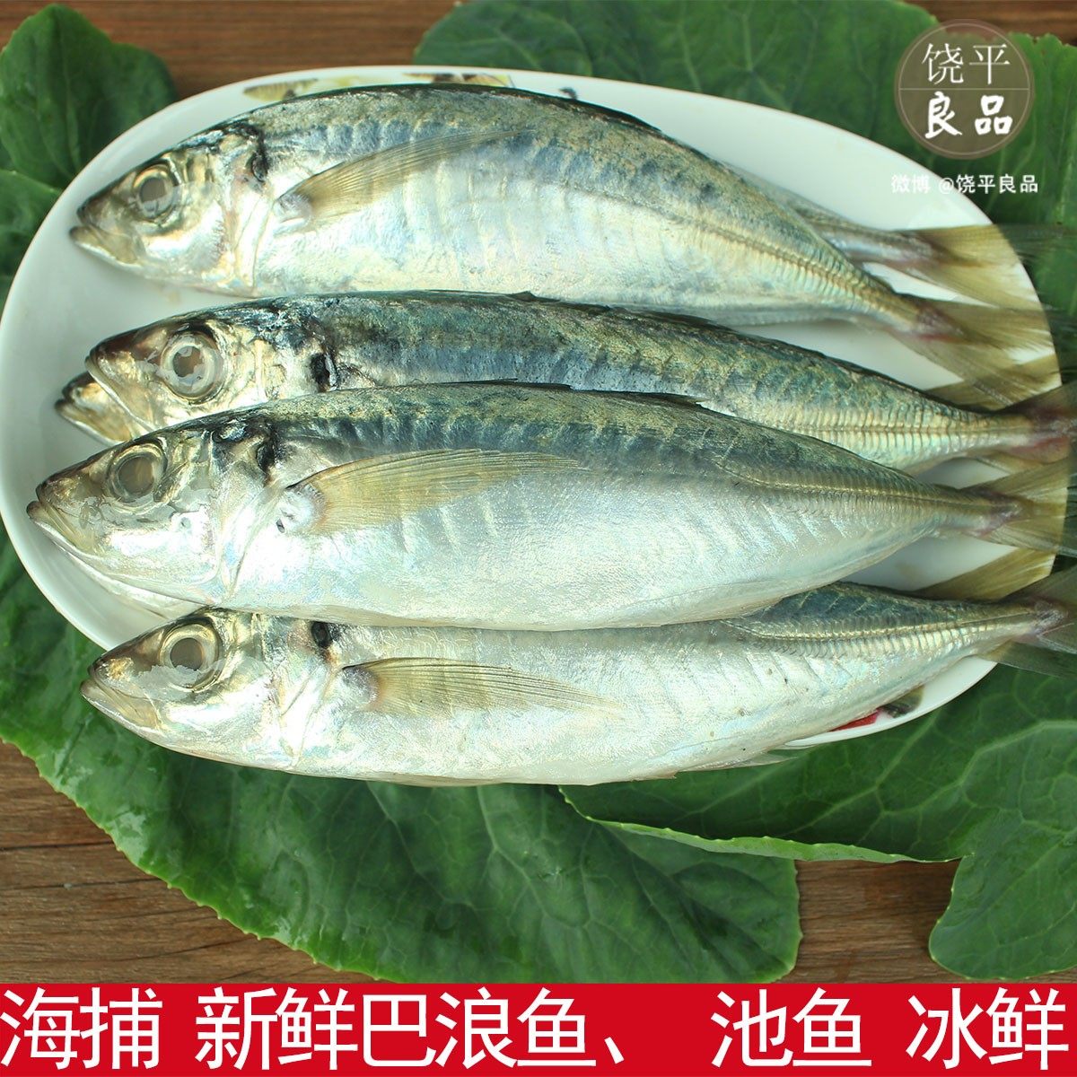 竹荚 巴浪吧浪蓝圆鲹刺巴棍子冰鲜海鳀500g顺丰