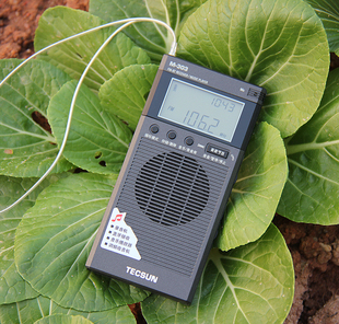 德生 Tecsun 303便携袖 珍调频收音机蓝牙录音音乐播放器锂电池