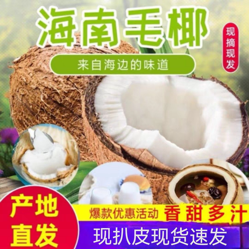 海南老椰子6个装新鲜当季水果泰宝国毛耶子鲜椰子老椰子非青椰