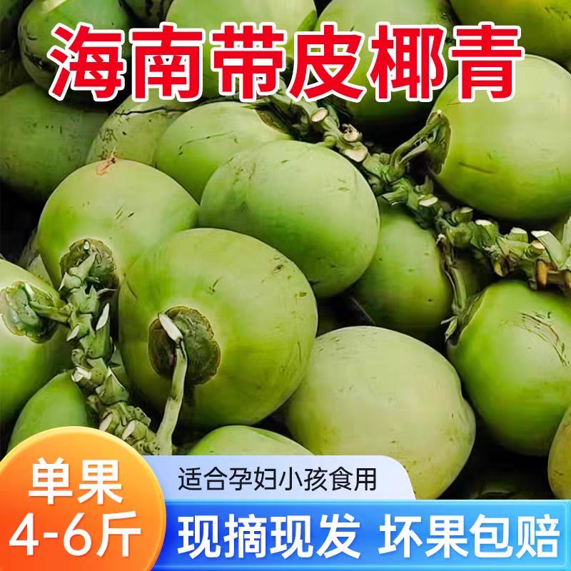 海南直发带皮椰青当季新鲜现摘嫩椰汁孕妇水果大青椰特产椰子包邮