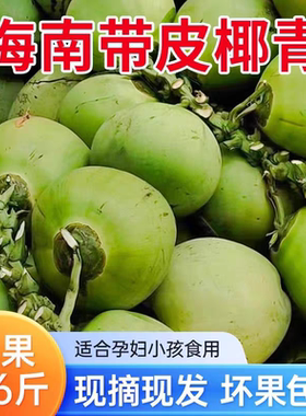 海南直发带皮椰青当季新鲜现摘嫩椰汁孕妇水果大青椰特产椰子包邮