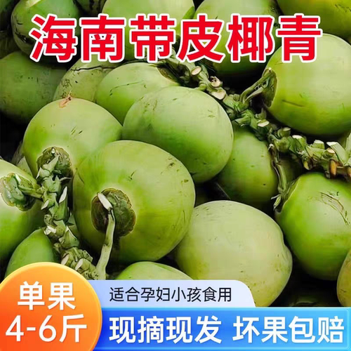 海南直发带皮椰青当季新鲜现摘嫩椰汁孕妇水果大青椰特产椰子包邮