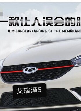 奇瑞改装拉花风云2两厢车贴