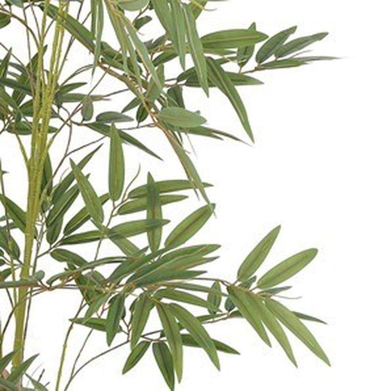 仿真竹子室内装饰隔断屏风竹子造景室外装饰盆栽加密绿植假挡墙,鲜花速递/花卉仿真/绿植园艺,仿真绿植,淘宝优惠券,粉丝福利购,淘宝优惠卷