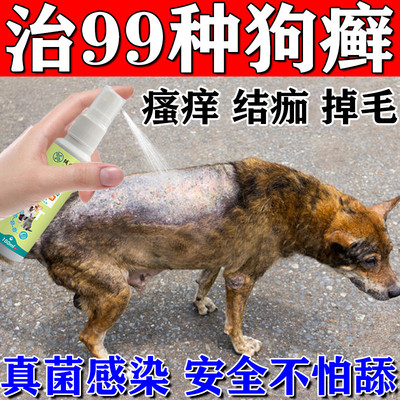狗身上长癣皮肤病狗狗掉毛专用药真菌感染治疗宠物螨虫皮炎喷剂