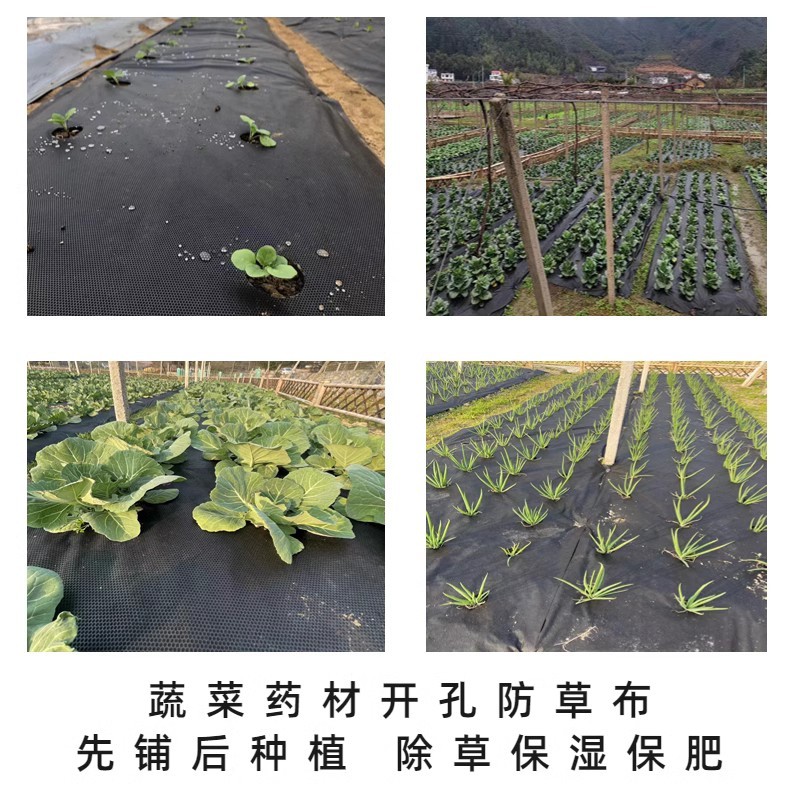 家庭菜园种菜打孔布除草保湿透水透气农用地膜绿色环保可降解地布