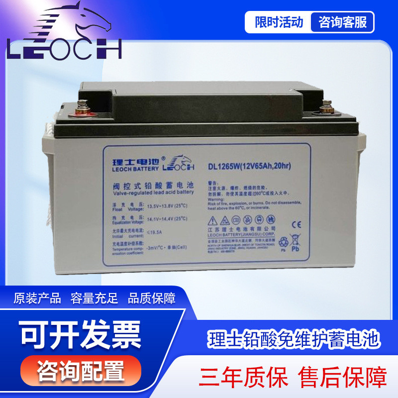 理士太阳能蓄电池12V65AH机房UPS/EPS电脑应急电源储能用DJM1265S