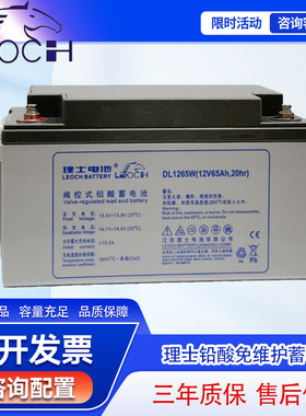 理士太阳能蓄电池12V65AH机房UPS/EPS电脑应急电源储能用DJM1265S