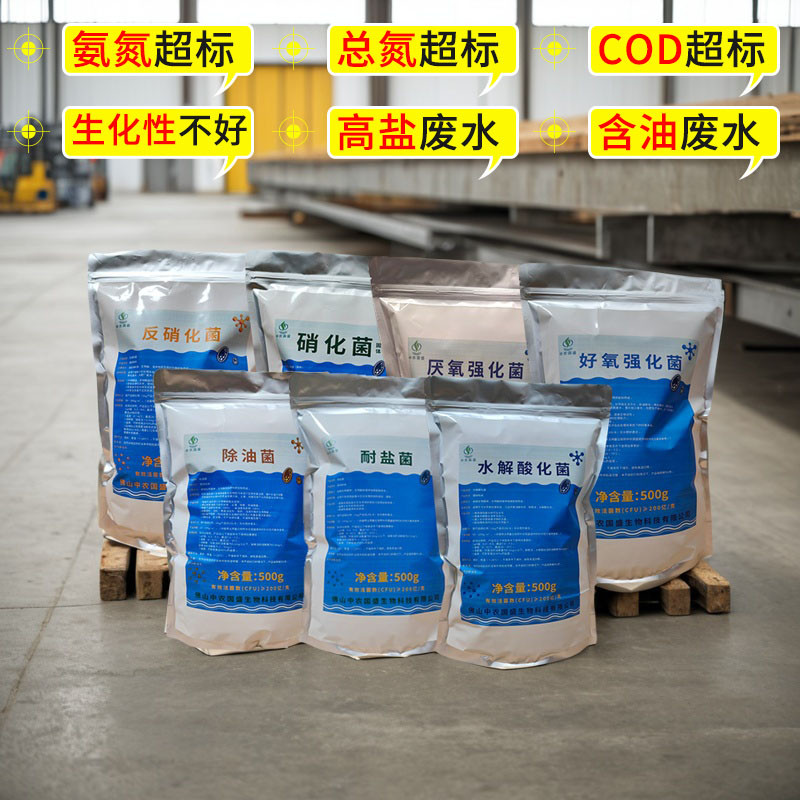 污水处理菌种高效复合菌种硝化反硝化脱氮好氧菌厌氧菌微生物细菌