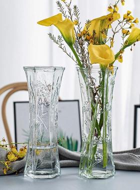 特大号透明玻璃花瓶北欧家用水养富贵竹百合干花插花客厅摆件桌面