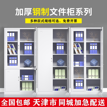 天津铁皮办公室文件柜加厚钢制档案资料柜财务凭证柜带锁抽屉矮柜