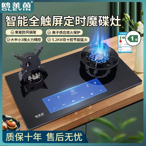 2023 Газовая плита двойная печь Домохозяйство Тайваня с покрытием газовой плиты газовой плиты, а также двойная головная плита с природной газовой плитой с природным газом