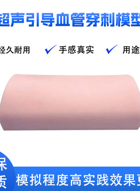超声模型超声血管穿刺医漫高仿真