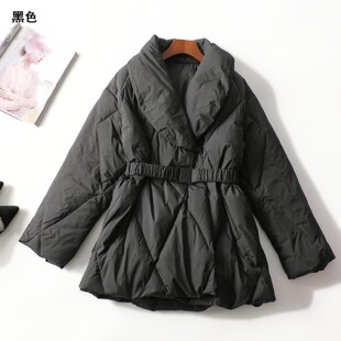 413231 冬羽绒服 女中长款长袖暗扣.M.L