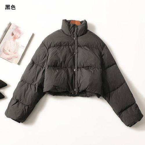 245077 冬羽绒服 女短款长袖高领