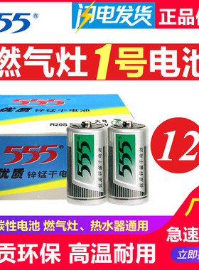 555大号电池一号锌锰干电池燃气灶热水器用1.5V干电池D型R20S