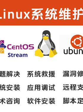 Linux系统维护/问题解决/系统救援/系统安装/应用调试技术咨询