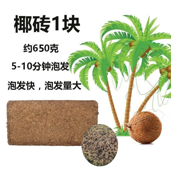 椰砖无菌椰粉营养土不板结介质兰花土进口宠物垫材种菜多肉土椰糠