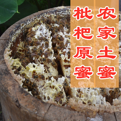 新枇杷蜜原品质蜂蜜结晶冬蜜农家土蜜500g成熟上品原蜜 老粉款