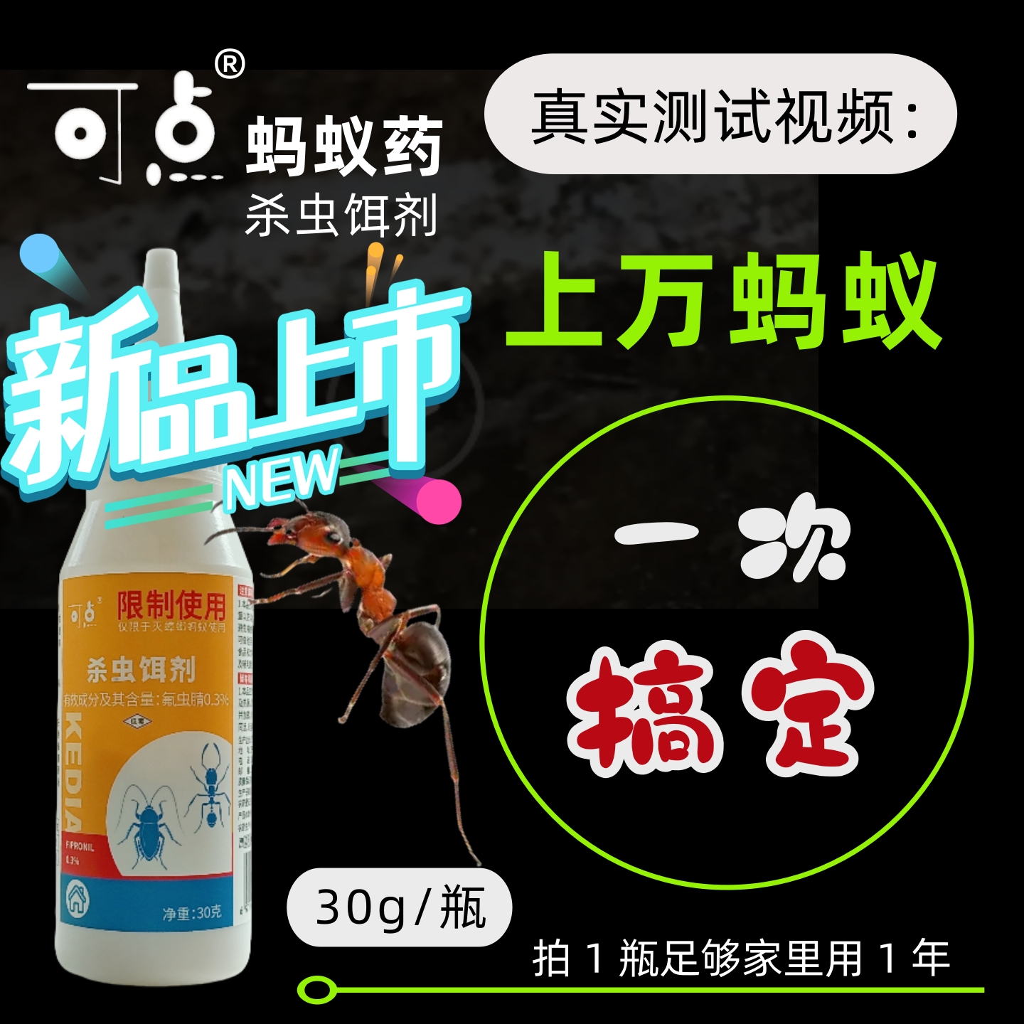 小黄家蚁红蚂蚁专杀[可点蚂蚁药]