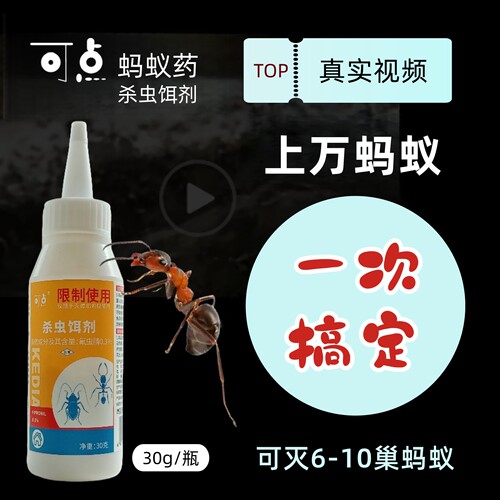 可点小黄家蚁红蚂蚁黑蚂蚁专用药