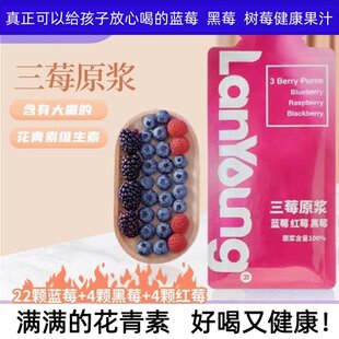 三莓原浆果汁蓝莓黑莓红树莓原汁原味无添加剂鲜果榨花青素非NFC