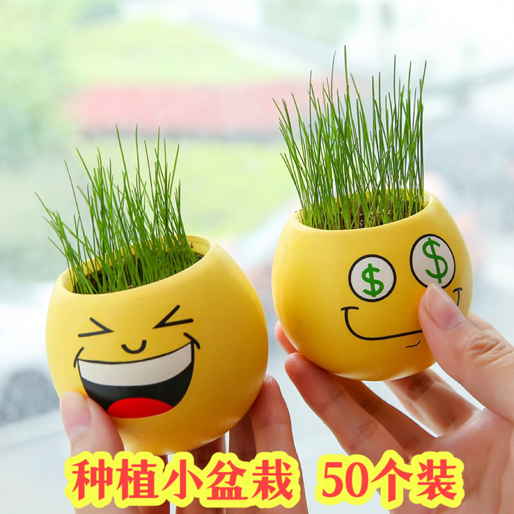 儿童奖品幼儿园培训班小礼品