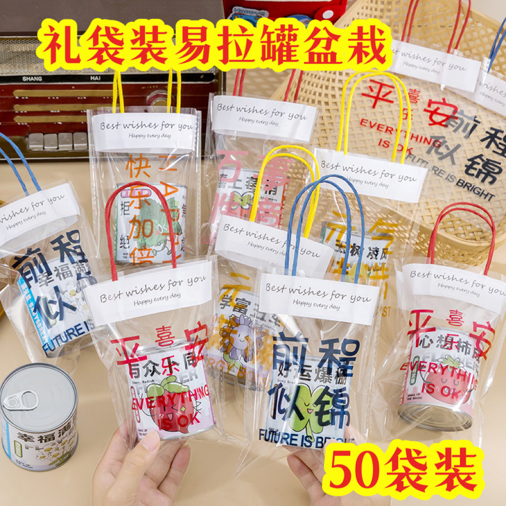 创意礼物儿童种植小盆栽生日礼物幼儿园小朋友礼品学生奖品伴手礼