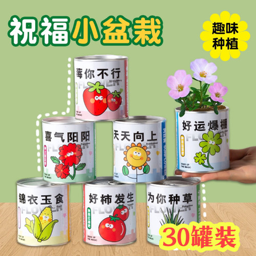 儿童植物种植盆栽盲盒小学生开学