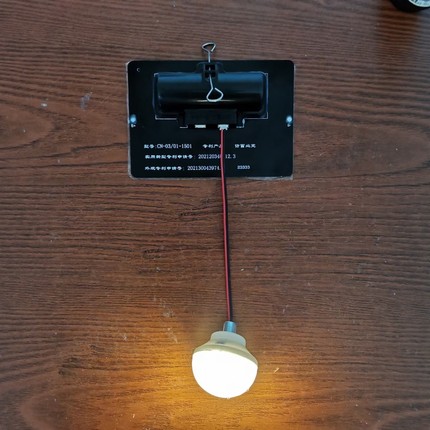 太阳能灯笼锂电池LED光源庭院大门口阳台户外照明免接线专用 灯泡