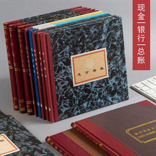 立信现金银行100页明细分类总账