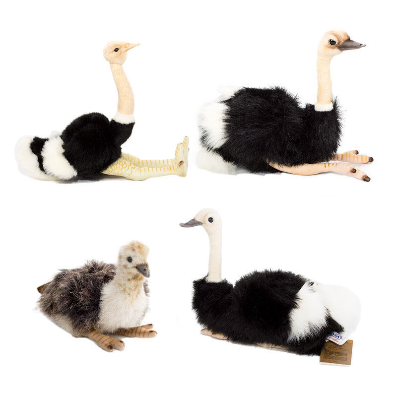 hansa 进口宝宝公仔玩偶3627/6440/6441/6702鸵鸟毛绒玩具食火鸡