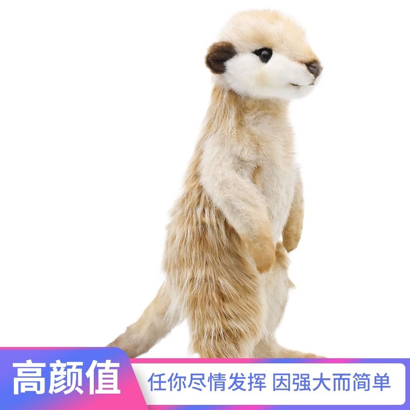 Hansa特价 天猫hansa优惠券 淘宝hansa优惠卷免费领取 白菜哦