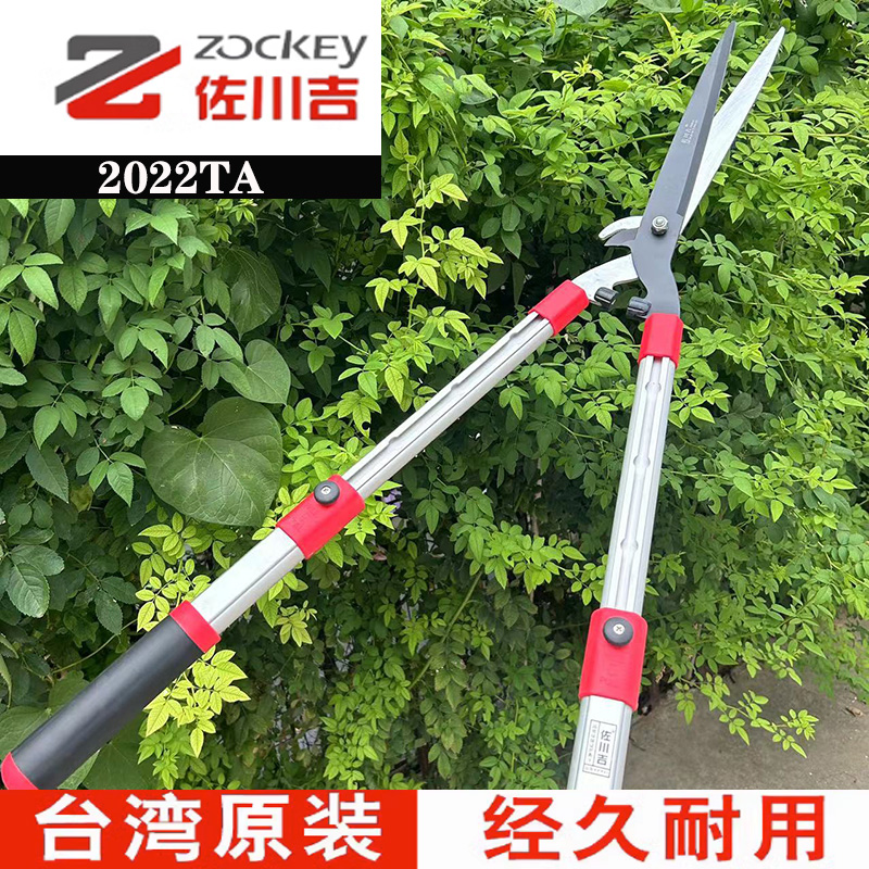 进口台湾佐川吉2020TA园艺坪绿