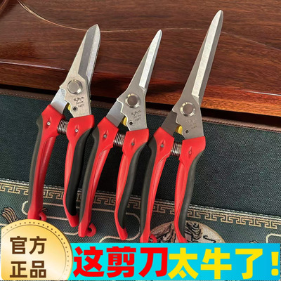 玉木作采果剪稀果剪疏花剪盆栽修花枝剪 柑橘蔬果采摘摘果剪刀