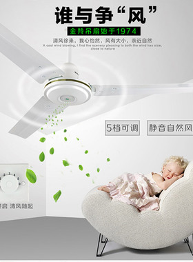 江门金羚FC-30Y 48寸/56寸吊扇 家用强力直叶吊扇 绿色白色金铃