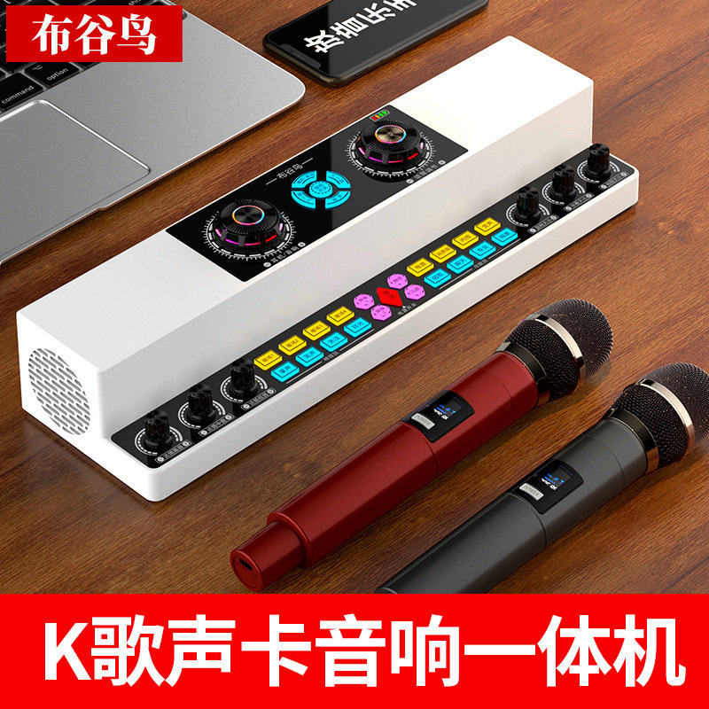 布谷鸟Y6声卡音响一体机户外直播唱歌广场舞主播设备全套音箱话筒属于什么档次？